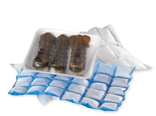 IceWrap® Frozen Hydrated Sheets - Aptar Food + Beverage